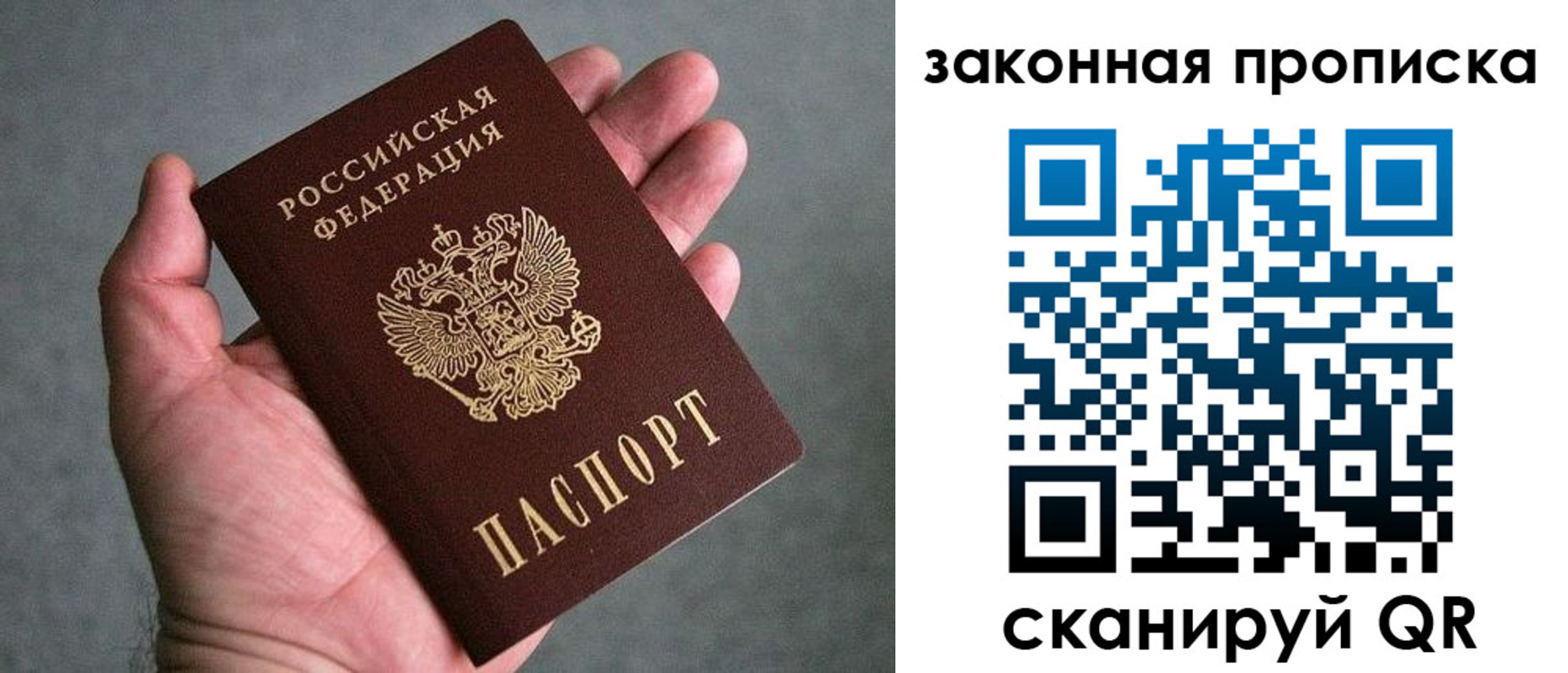 прописка в квартире в Вязьме
